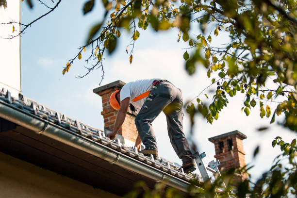 Best Roof Ventilation Installation  in North River Shores, FL