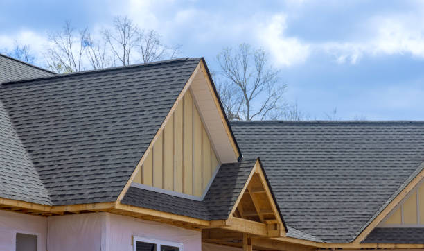 Best Asphalt Shingle Roofing  in North River Shores, FL